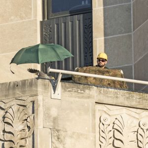 Kalamazoo Peregrine Falcons Banding Day 2018