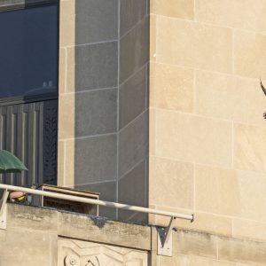 Kalamazoo Peregrine Falcons Banding Day 2018