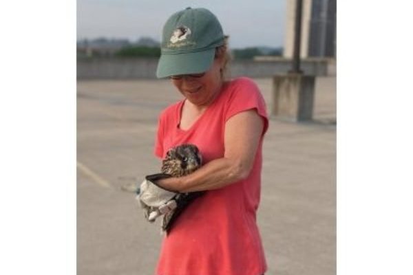 Gail holding mail falcon