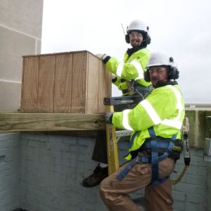 Kalamazoo Falcons - 2013, April Nest Box Installation