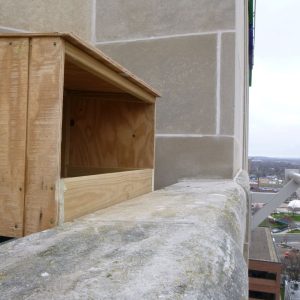 Kalamazoo Falcons - 2013, April Nest Box Installation