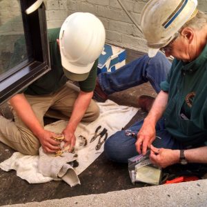 Kalamazoo Falcons 2015 Banding Day